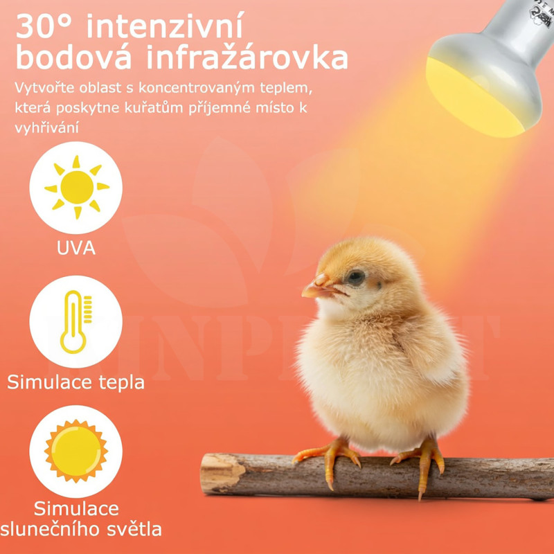 Infražárovka Lucky Herp 75 W, čirá tepelná lampa pro ohřev a světlo pro kuřata a křepelky, 2 kusy v balení 