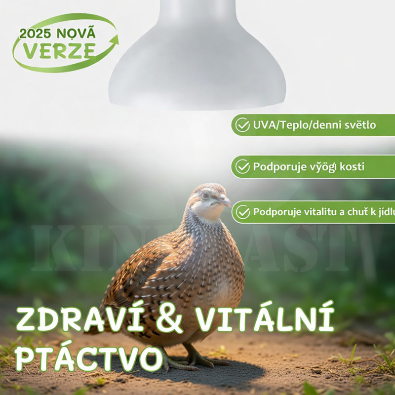 Infražárovka Repti 75 W, čirá tepelná lampa pro ohřev a světlo pro kuřata a křepelky, 2 kusy v balení 