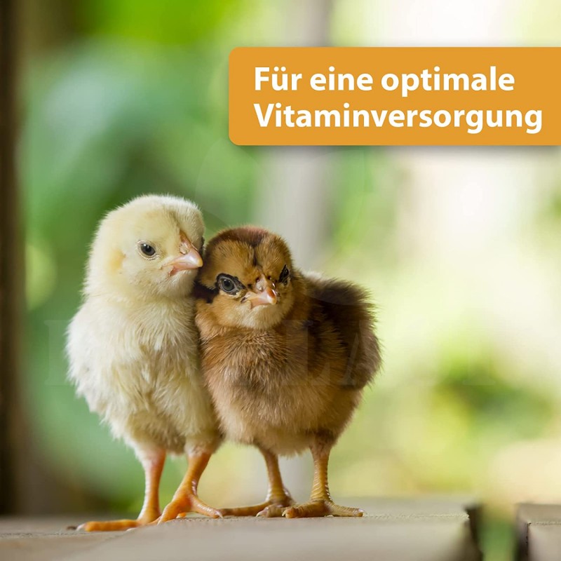 Vitacombex H Quiko Hobby Farming, multivitamínová šťáva pro kuřata, křepelky a ostatní drůbež 500 ml