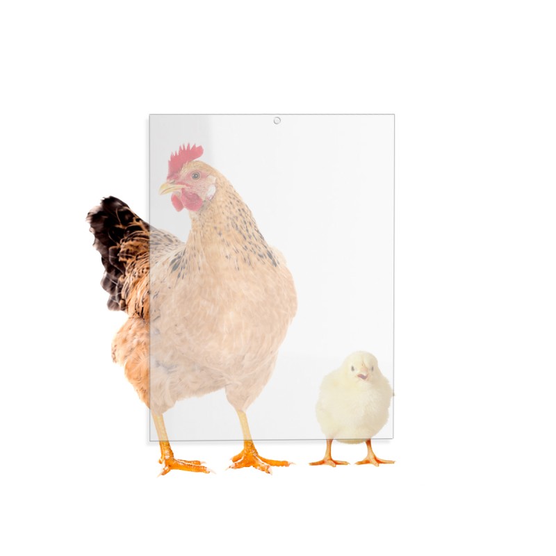 Dvířka šoupací Acrycolr 25 x 33 cm, umělé sklo, Chickenguard, bez vodících lišt