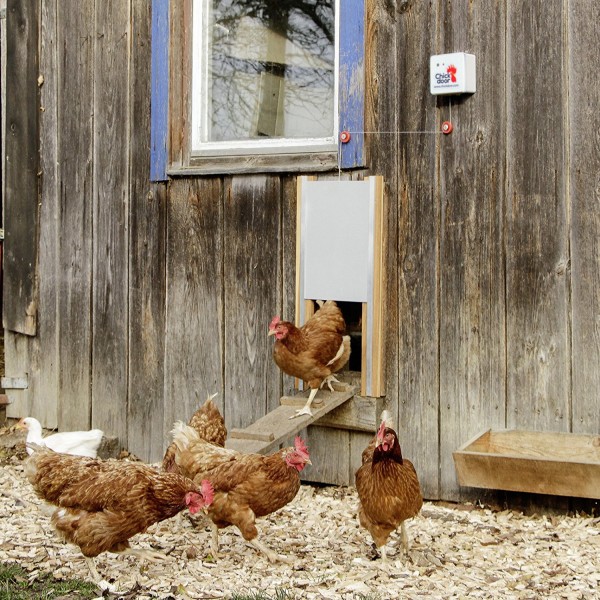 Dvířka šoupací 25 x 30 cm Chickenguard pro otevírač kurníku, bez vodících lišt