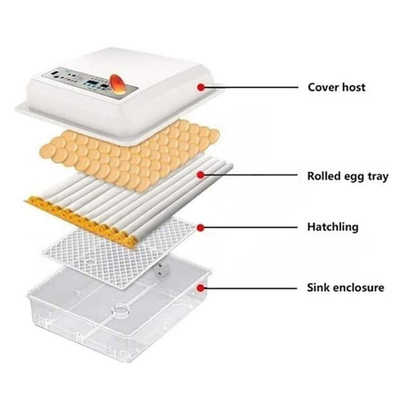 Líheň automatická digitální inkubátor 16 slepičích a až 30 křepelčích vajec