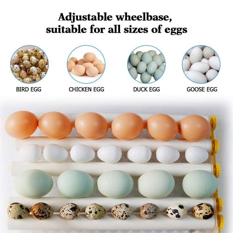 Líheň automatická digitální inkubátor 16 slepičích a až 30 křepelčích vajec