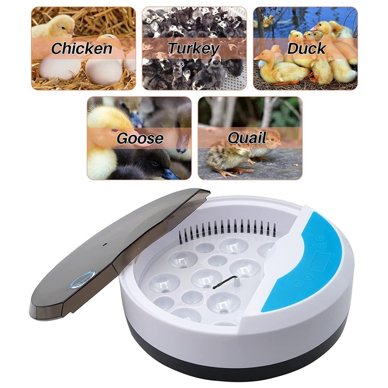 Líheň digitální Mini, inkubátor 9 vajec s LED automatickým měřením teploty