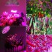 Grow LED žárovka 100 W Full, patice E27 pro růst rostlin 150 led diod