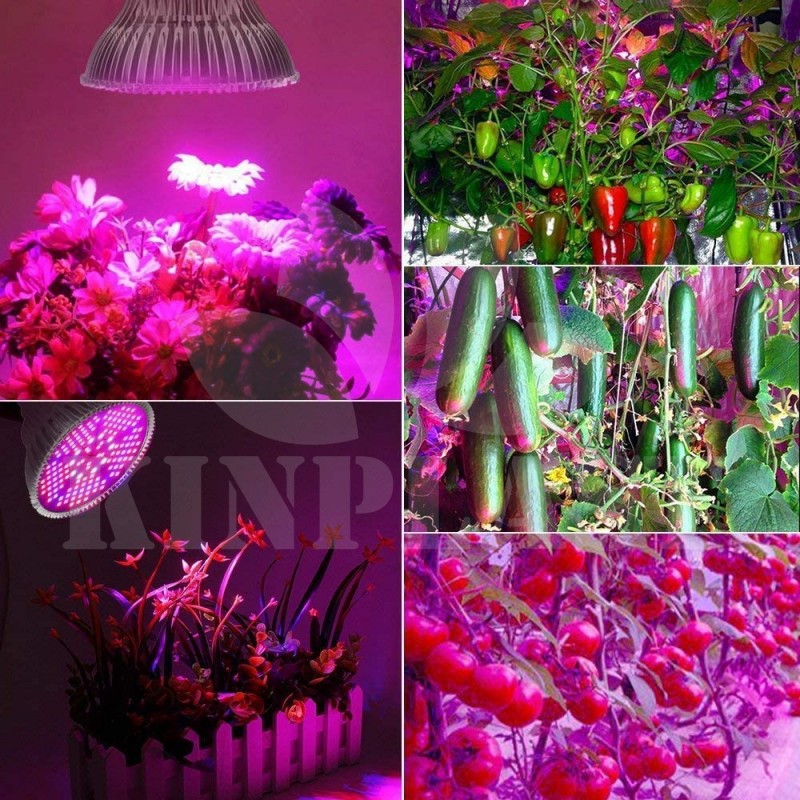 Grow LED žárovka 100 W Full, patice E27 pro růst rostlin 150 led diod