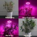 Grow LED žárovka 50 W Full, patice E27 pro růst rostlin 72 led diod