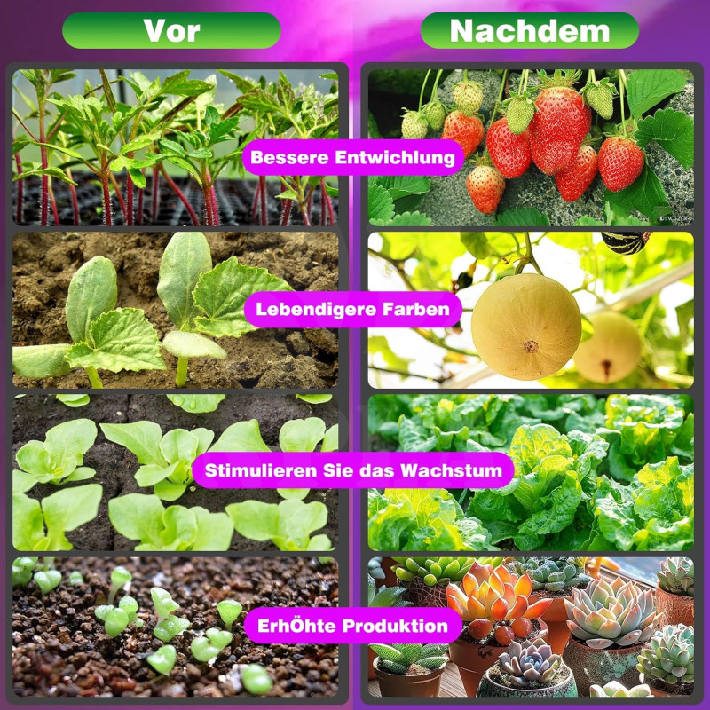 Growlight lampa BL-P20A na rostliny 2 ramena se žárovkami, 2 x 200 LED s klipsem, 3 režimy osvětlení rostlin