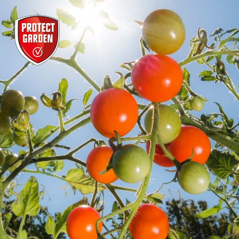 Přípravek pro ochranu rostlin Protect Garden Sanium Ultra AL připraveného k přímému použití, 1 litr