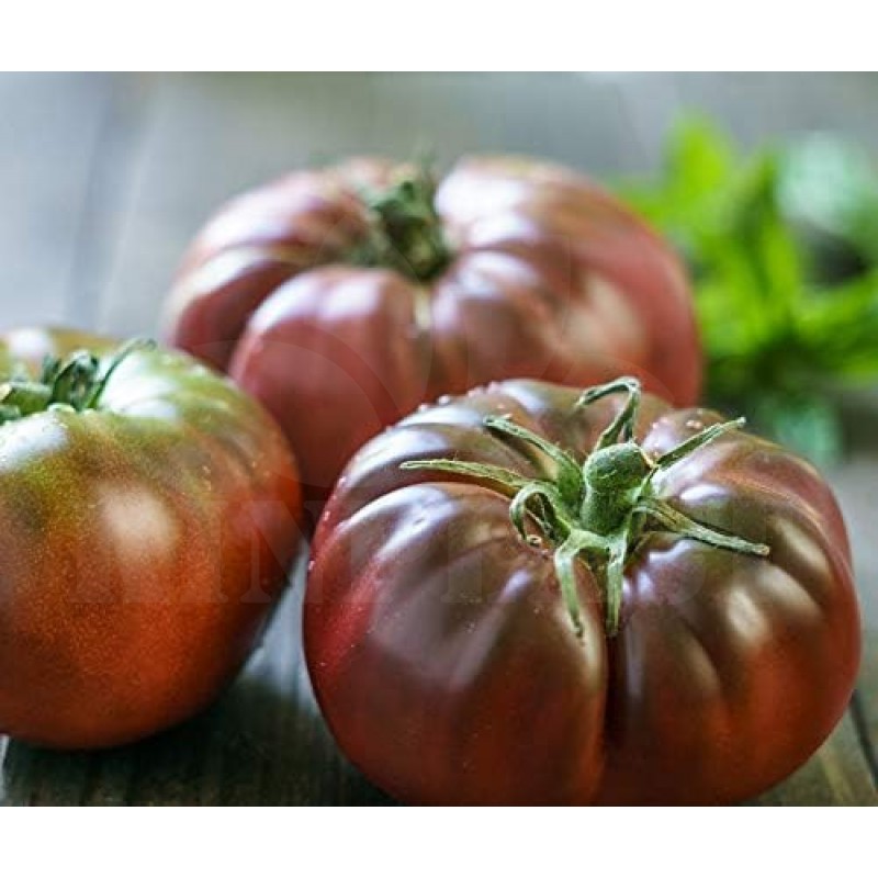 Rajčata Black Krim - Sada BIO semen, rajčat z biologického zemědělství, sada na zahradu,  pro skleník a záhon