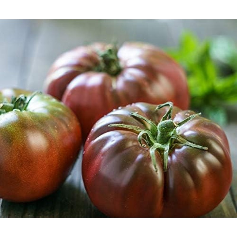 Rajčata Black Krim - Sada BIO semen, rajčat z biologického zemědělství, sada na zahradu,  pro skleník a záhon