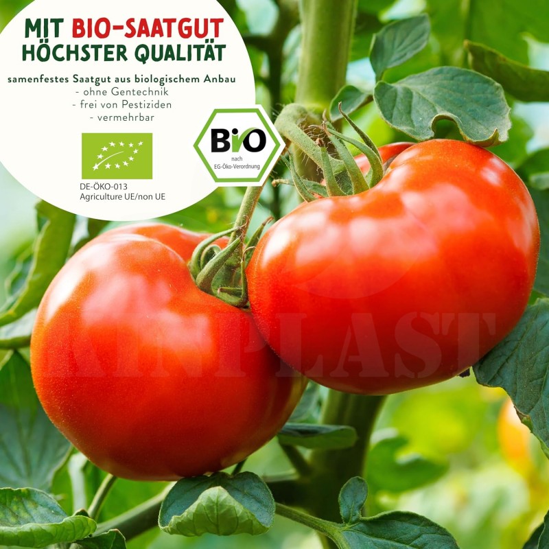 Rajčata - Sada BIO semen 14 druhů rajčat z biologického zemědělství, sada na zahradu,  pro skleník a květináč