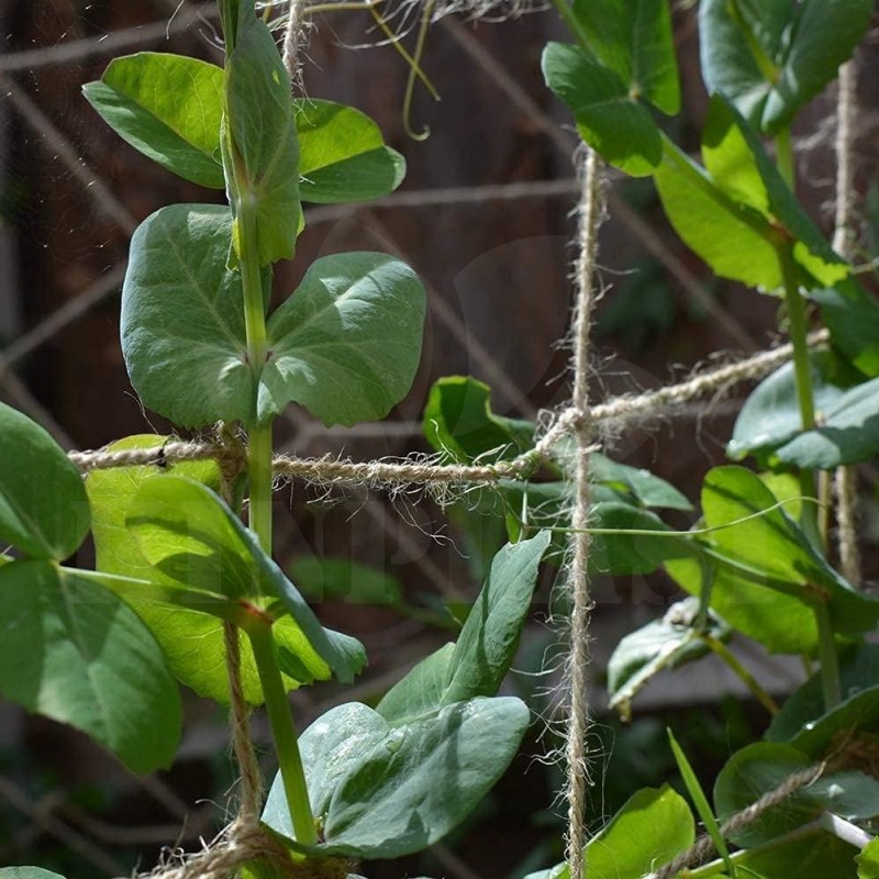 Skleníková síť 100 x 500 cm na okurky Vilmorin, síť na popínavé rostliny jutová, oka 15 x 15 cm