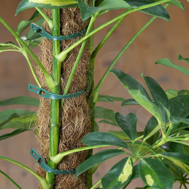 Vázací pásky na rostliny 17 cm – praktická sada s 50 kusy – s flexibilním drátěným jádrem