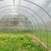 AGRO ECONOM 6x3m, originální zahradní skleník