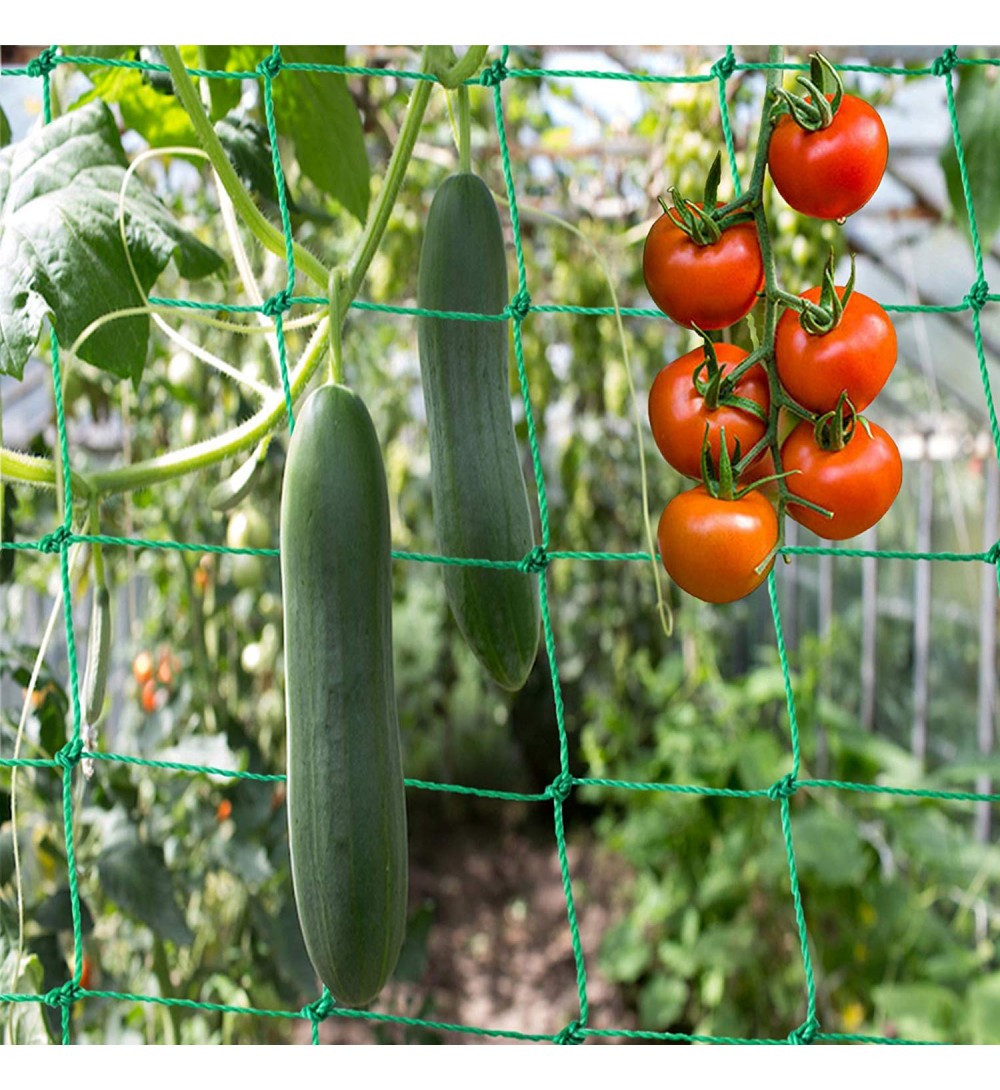 Skleníková síť 2 x 2 m na okurky a rajčata