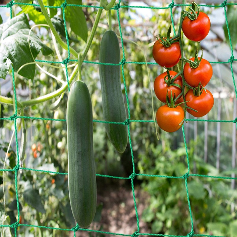 Skleníková síť 2 x 2 m na okurky a rajčata,  pevná a kvalitní síť co vydrží, oka 10 x 10 cm