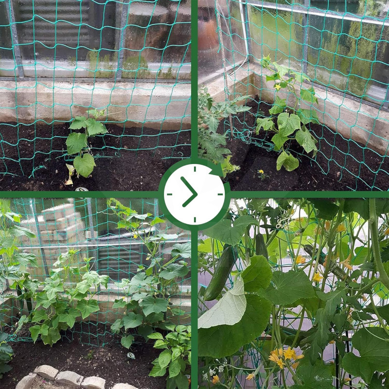 Skleníková zahradní síť 2 x 2 m na okurky a rajčata, oka 10 x 10 cm, pevná a kvalitní zesílená síť, dvojitě vázaná síť co vydrží