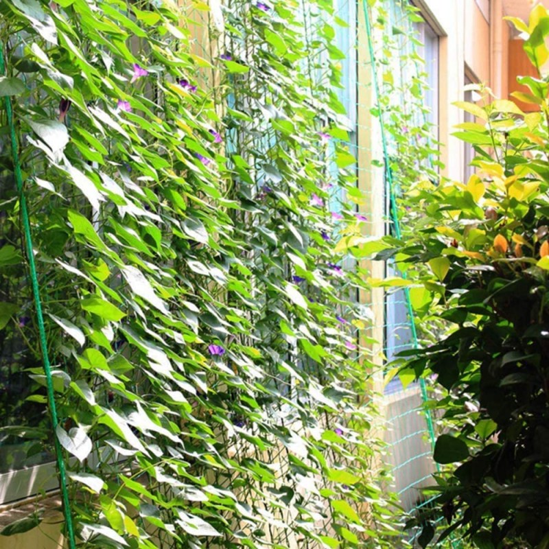 Skleníková síť 2,5 x 2 m na rostliny + příslušenství