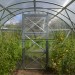 Skleník 2DUM 10x3m PC 4mm zahradní polykarbonátový skleník VOLYA LLC