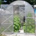 Skleník DVUSHKA 4x2 m zahradní polykarbonátový skleník Volya LLC