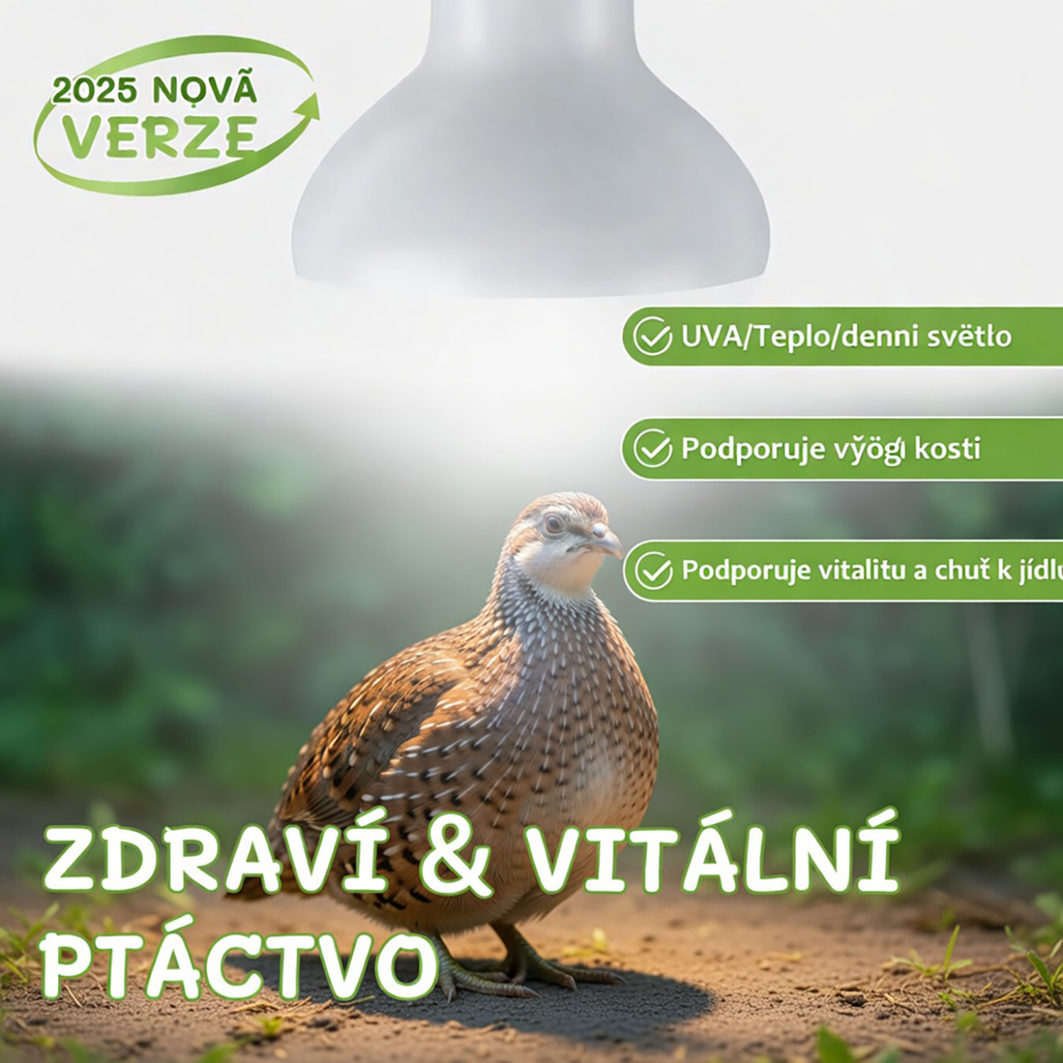 Žárovka tepelná pro kuřata a křepelky