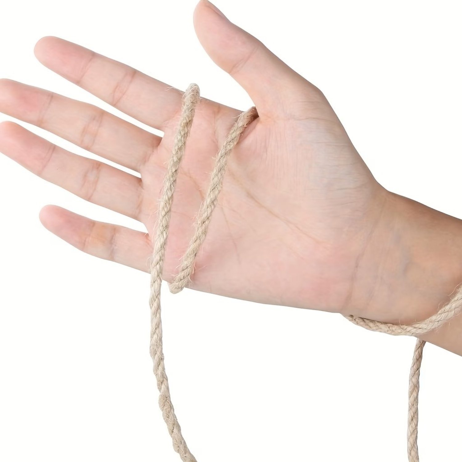 Pěstování rajčat