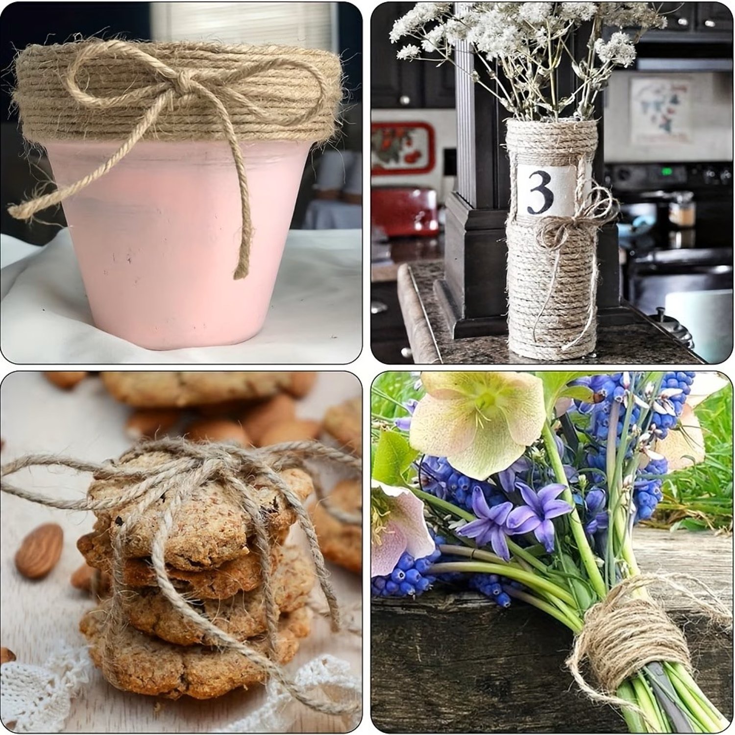 Pěstování rajčat