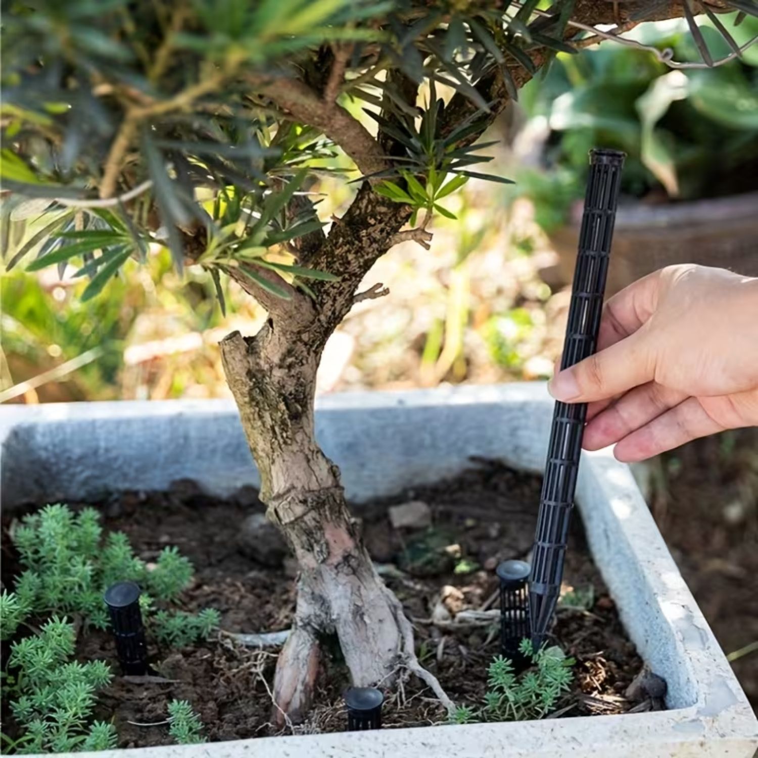 Zavlažování skleníku