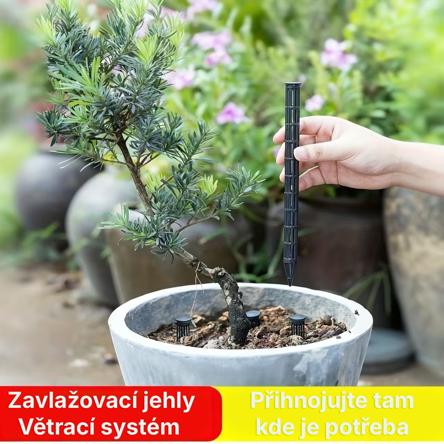 Zavlažování skleníku