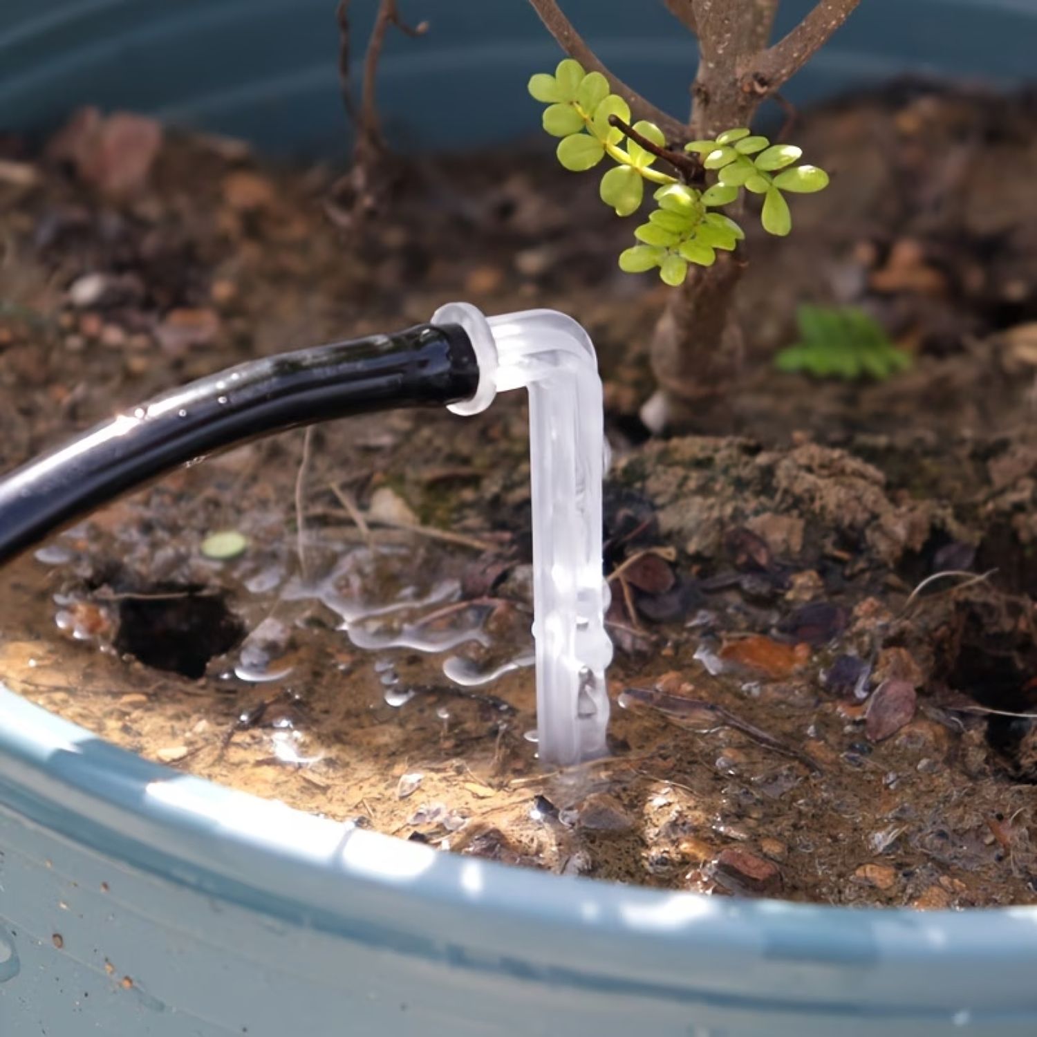 Solární zavlažování skleníku