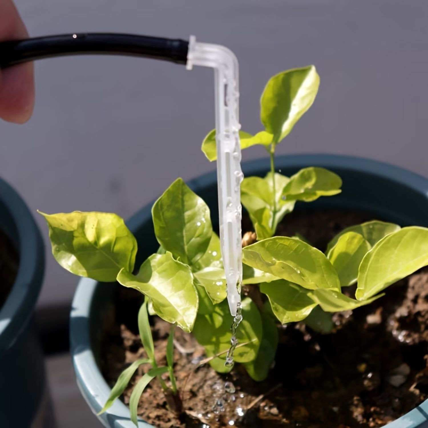 Solární zavlažování skleníku